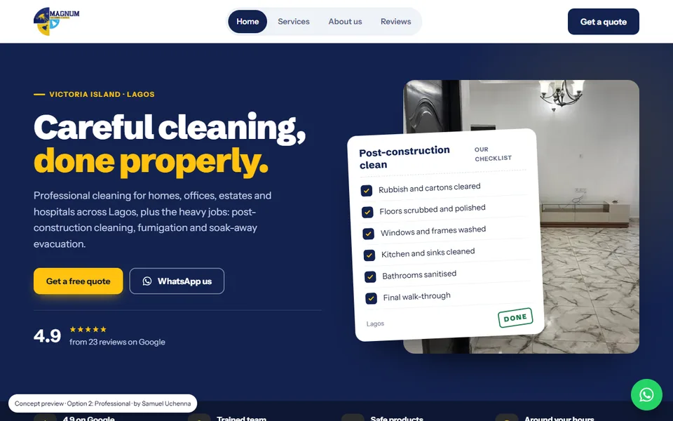 Preview of the Professional website